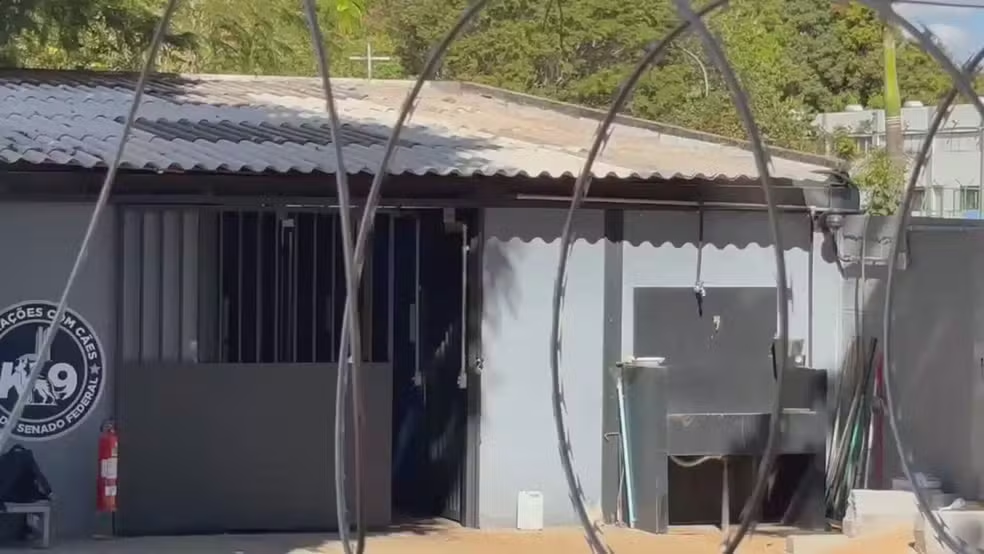 Veterinária atacada por cão do senado federal