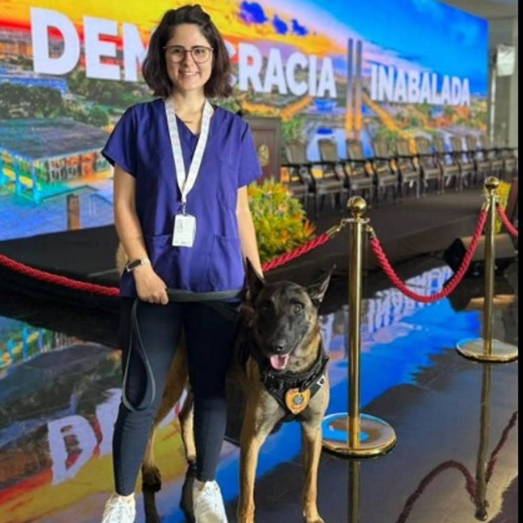 Veterinária atacada por cão do Senado passa por cirurgia em Brasília